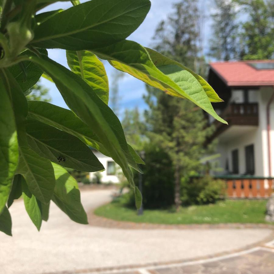 Apartamento Waldhaus Hinterstoder Exterior foto